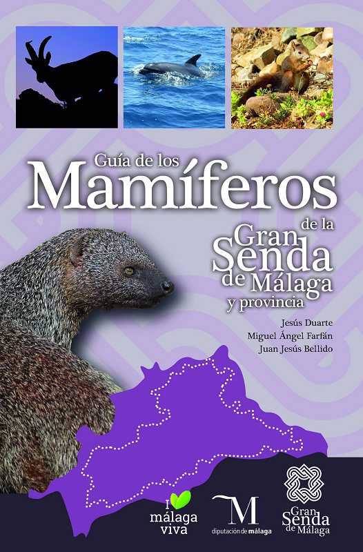 Mamíferos marinos: especies representativas